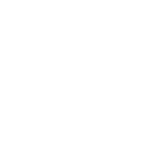 Little bird